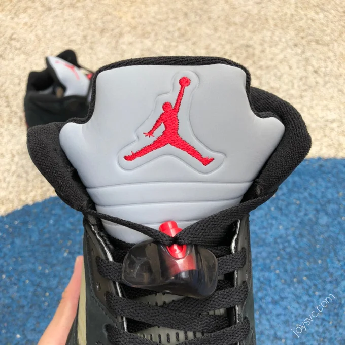 Air Jordan 5 Gore-Tex 