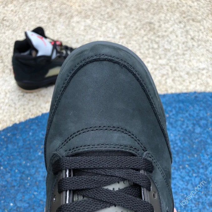 Air Jordan 5 Gore-Tex 