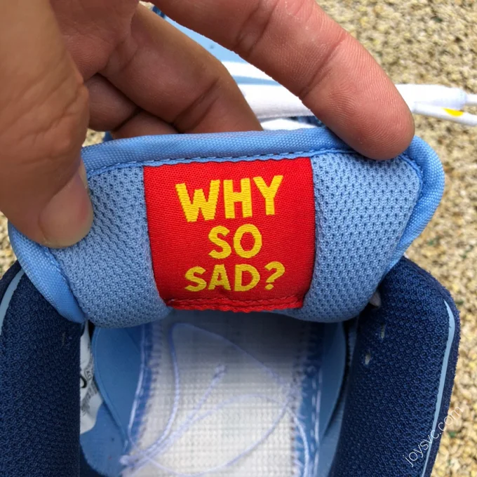 Why So Sad? x Nike SB Dunk Low Pro Blue DX5549-400