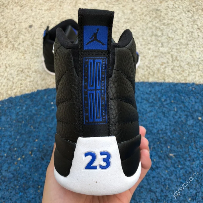 Air Jordan 12 