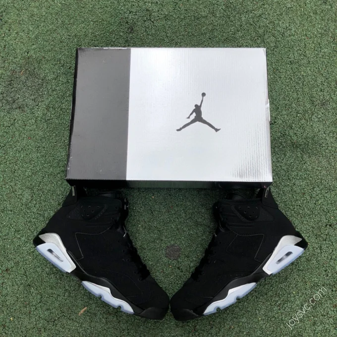 Air Jordan 6 