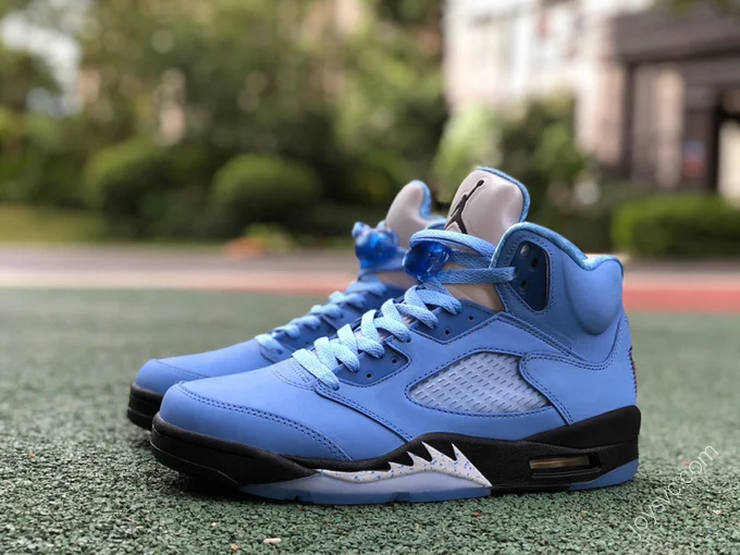 Air Jordan 5 