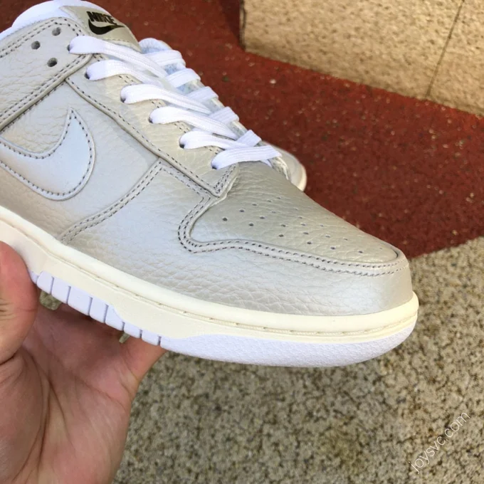 Nike Dunk Low White Silver DX3197-095