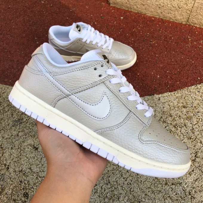 Nike Dunk Low White Silver DX3197-095