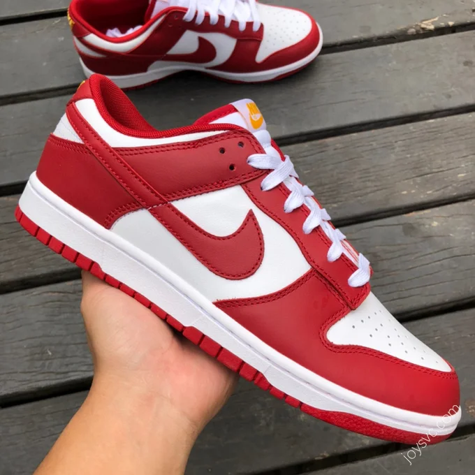 Nike Dunk Low Retro 