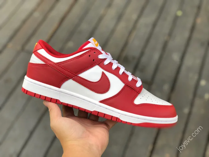 Nike Dunk Low Retro 