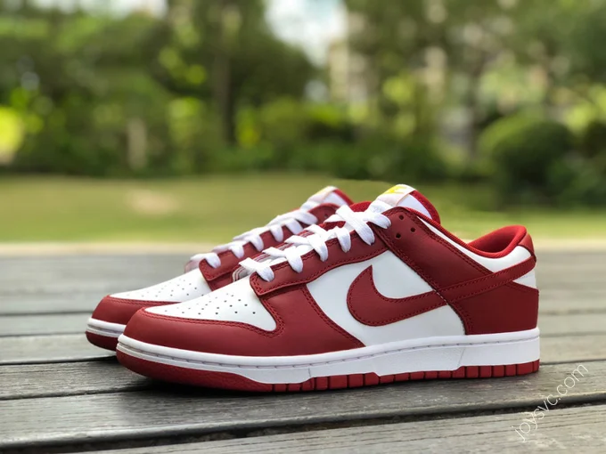 Nike Dunk Low Retro 