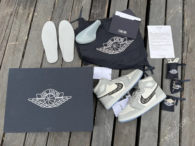 Dior x Air Jordan 1 High OG White Gray CN8607-002