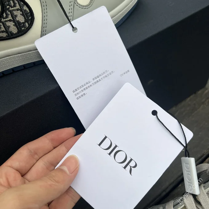 Dior x Air Jordan 1 High OG White Gray CN8607-002