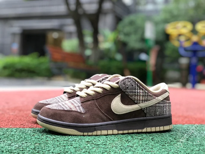 Stussy x Nike SB Dunk Low Pro Brown 304