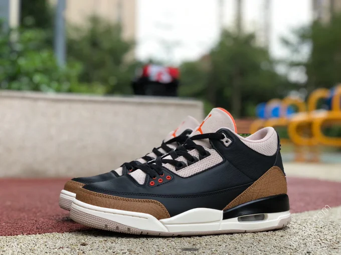 Air Jordan 3 Retro 