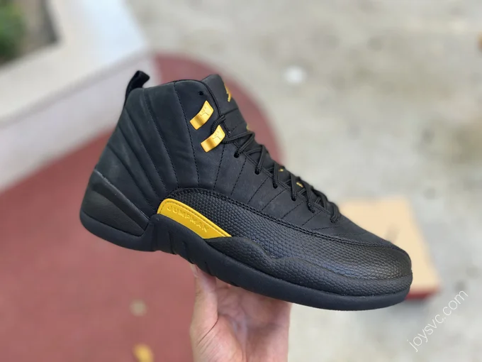 Air Jordan 12 