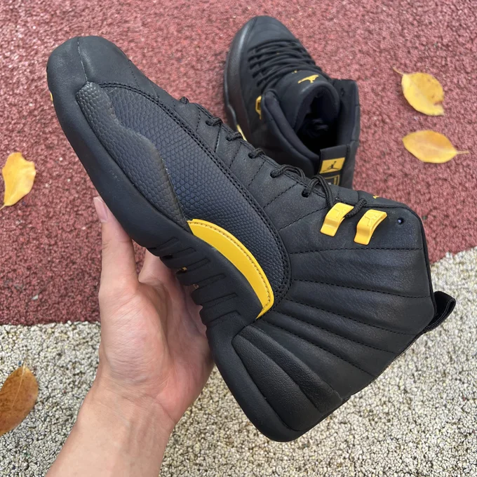 Air Jordan 12 