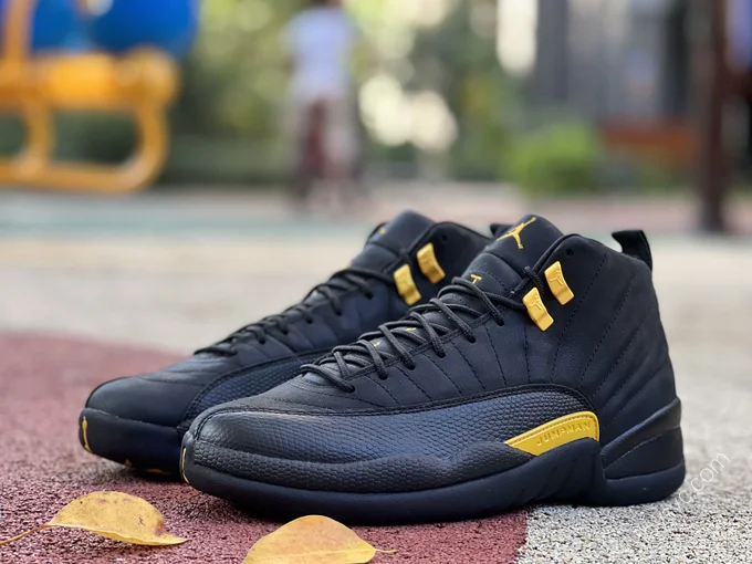 Air Jordan 12 