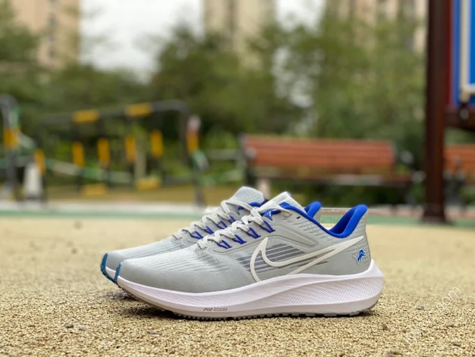 Nike Air Zoom Pegasus 39 Grey Blue DR2042-001