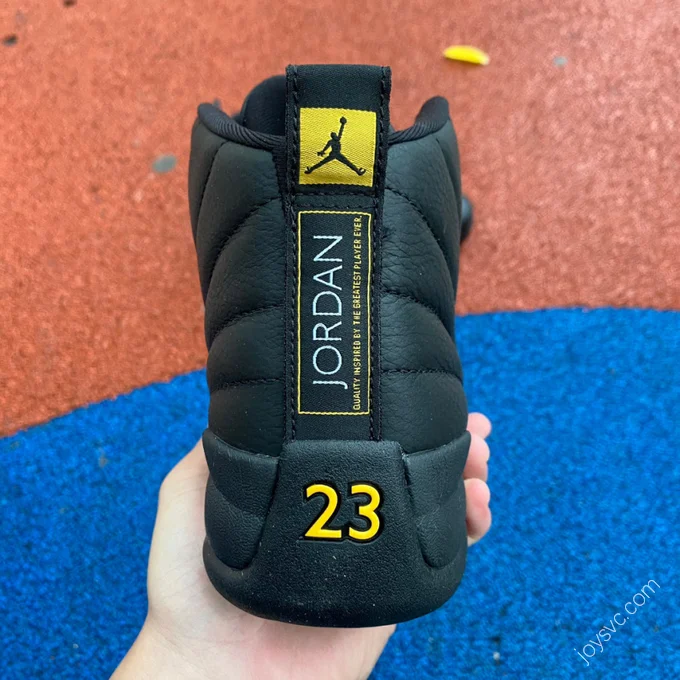 Air Jordan 12 Retro 