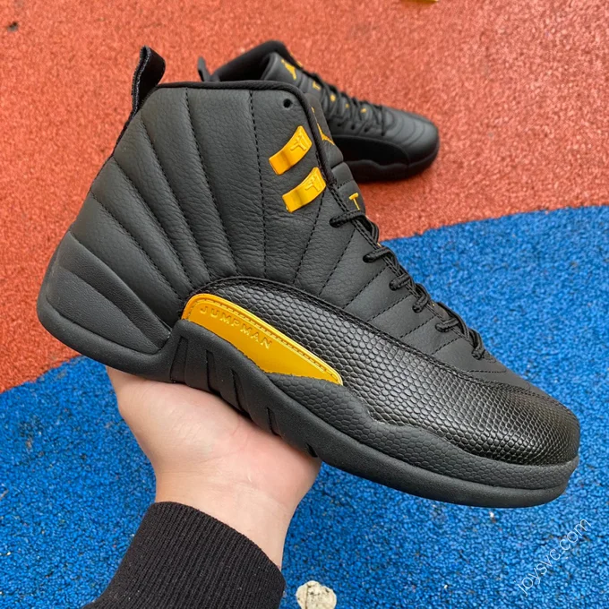 Air Jordan 12 Retro 