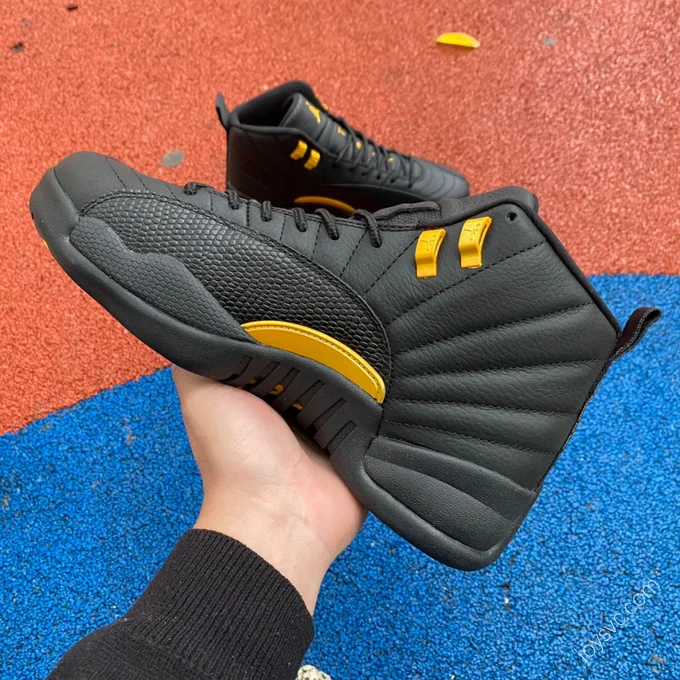 Air Jordan 12 Retro 