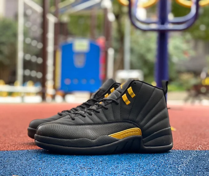 Air Jordan 12 Retro 