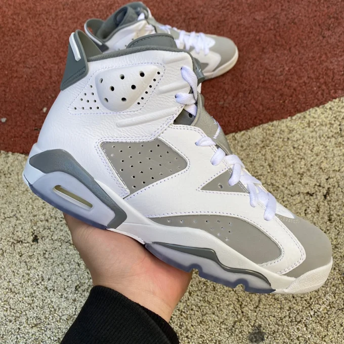 Air Jordan 6 