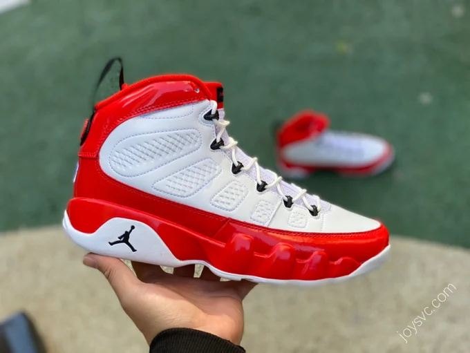 Air Jordan 9 