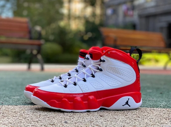 Air Jordan 9 