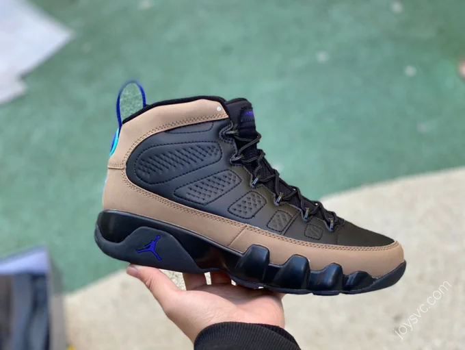 Air Jordan 9 