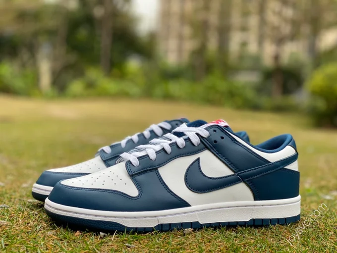 Nike Dunk Low Retro White Navy DD1391-400