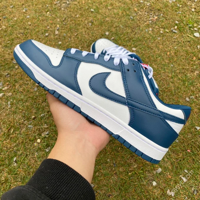 Nike Dunk Low Retro White Navy DD1391-400