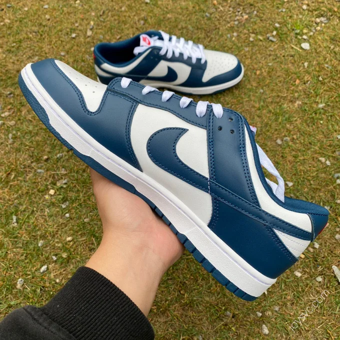 Nike Dunk Low Retro White Navy DD1391-400