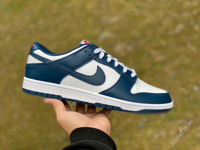 Nike Dunk Low Retro White Navy DD1391-400