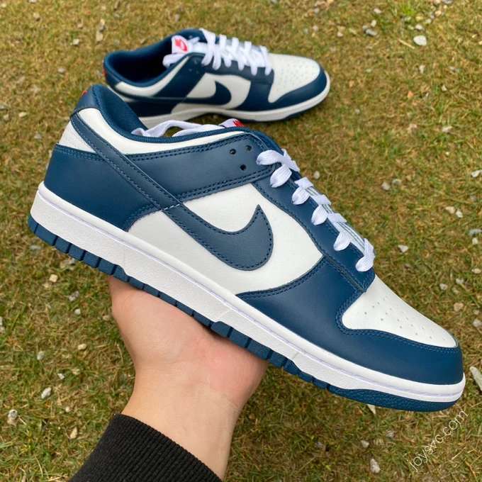 Nike Dunk Low Retro White Navy DD1391-400