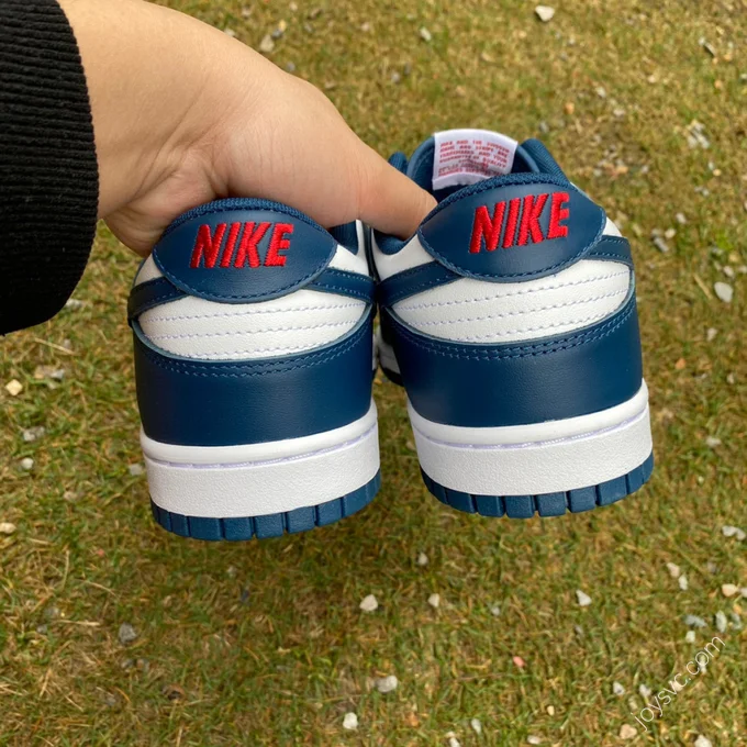 Nike Dunk Low Retro White Navy DD1391-400