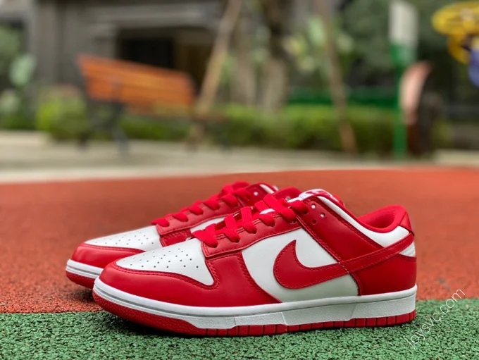 Nike Dunk Low SP 