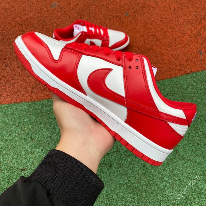 Nike Dunk Low SP 