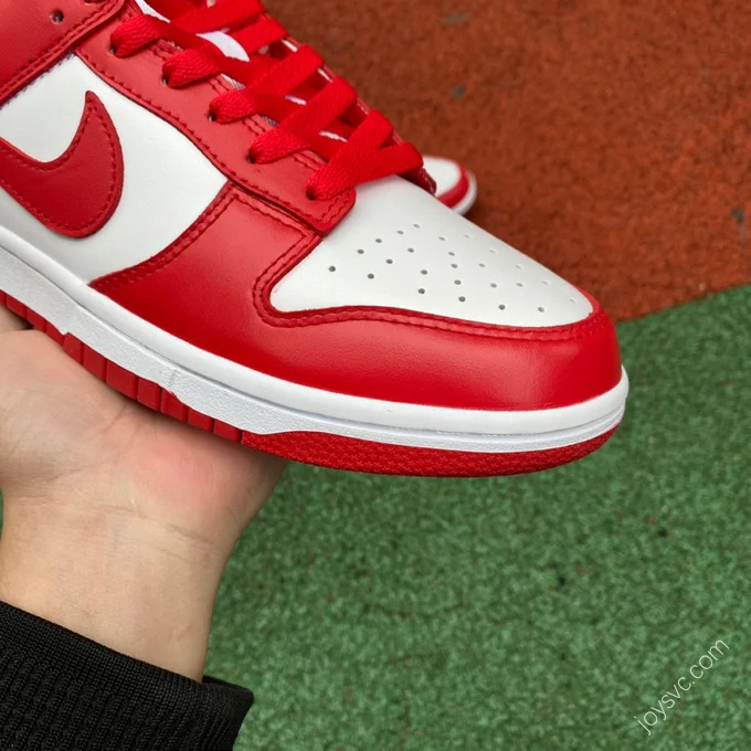 Nike Dunk Low SP 