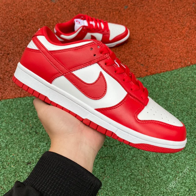 Nike Dunk Low SP 