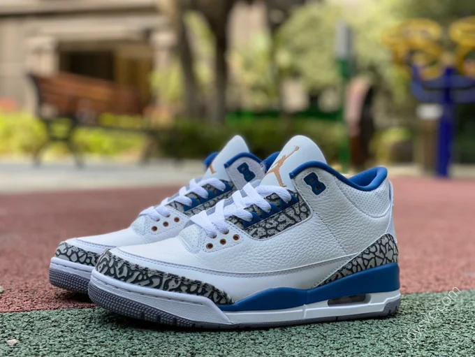 Air Jordan 3 Wizards Sneaker CT8532-148