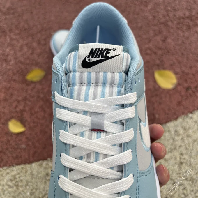 Nike Dunk Low Blue Grey White FB1871-011