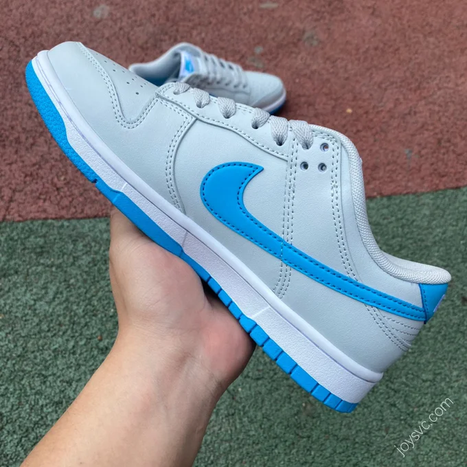 Nike Dunk Low Retro Grey Blue DV0831-001