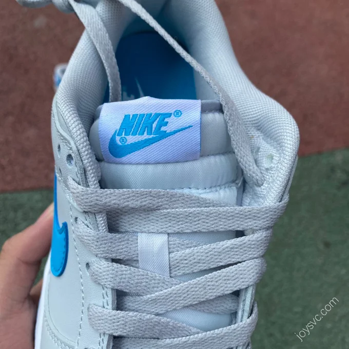 Nike Dunk Low Retro Grey Blue DV0831-001