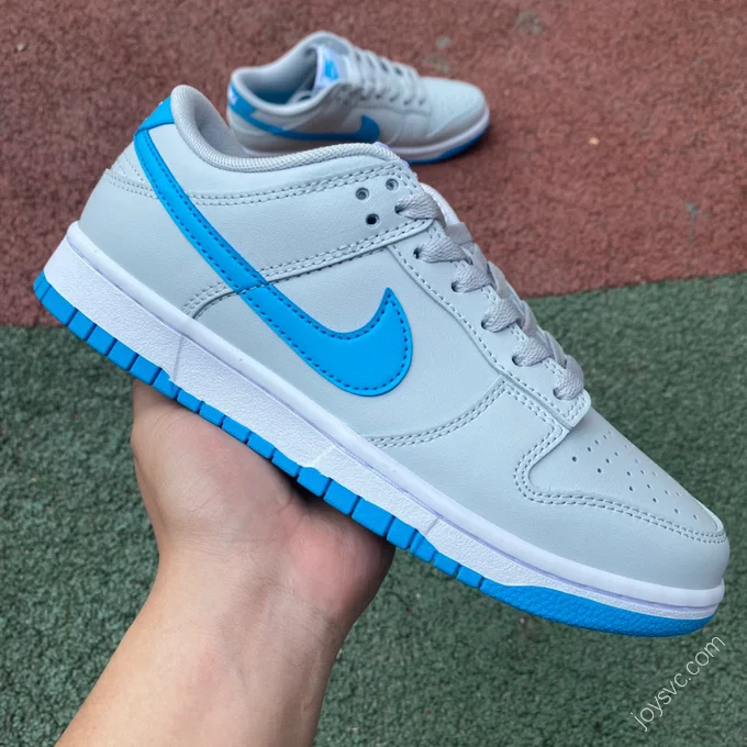 Nike Dunk Low Retro Grey Blue DV0831-001