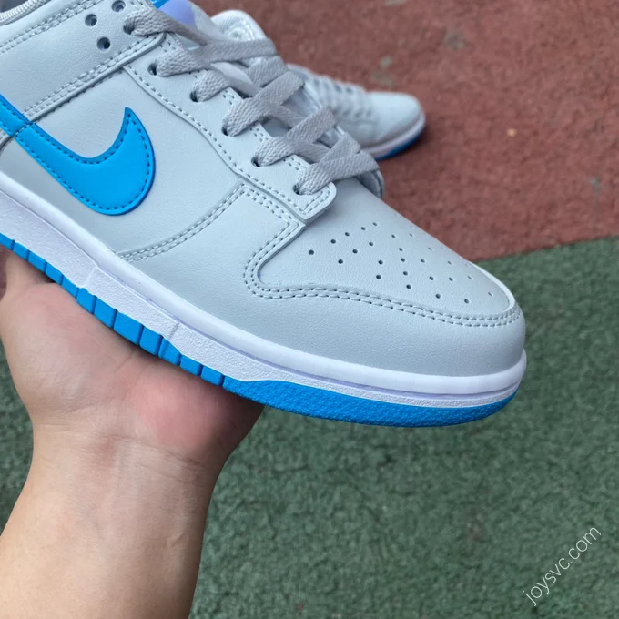 Nike Dunk Low Retro Grey Blue DV0831-001