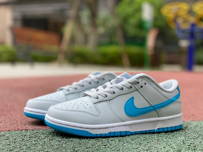 Nike Dunk Low Retro Grey Blue DV0831-001