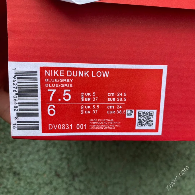 Nike Dunk Low Retro Grey Blue DV0831-001