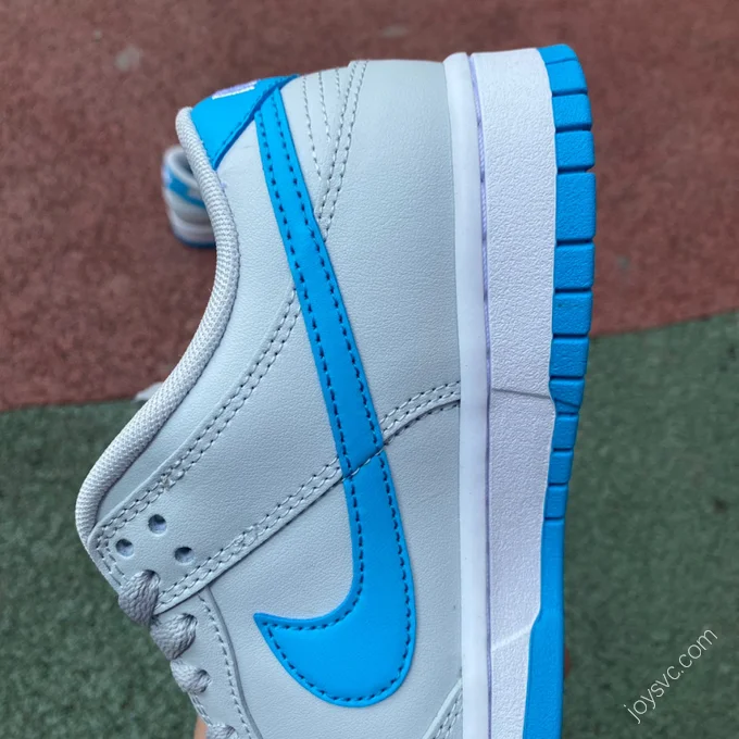 Nike Dunk Low Retro Grey Blue DV0831-001