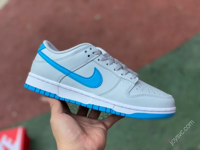 Nike Dunk Low Retro Grey Blue DV0831-001