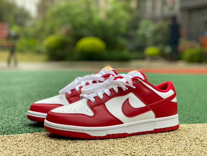 Nike Dunk Low Retro 