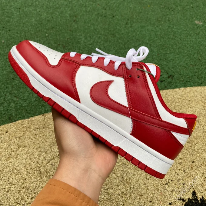 Nike Dunk Low Retro 