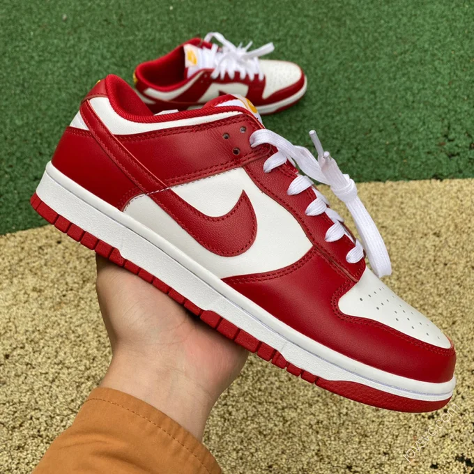 Nike Dunk Low Retro 